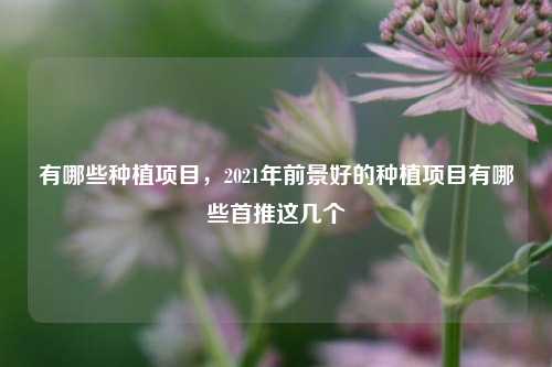 有哪些种植项目，2021年前景好的种植项目有哪些首推这几个