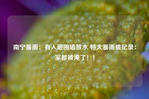 南宁暴雨：有人砸围墙放水 特大暴雨破纪录：家都被淹了！！