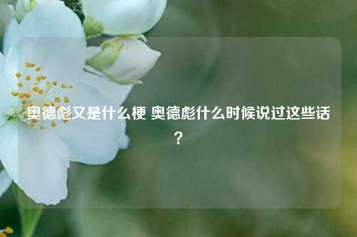 奥德彪又是什么梗 奥德彪什么时候说过这些话？