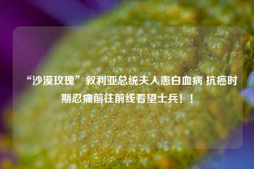 “沙漠玫瑰”叙利亚总统夫人患白血病 抗癌时期忍痛前往前线看望士兵！！