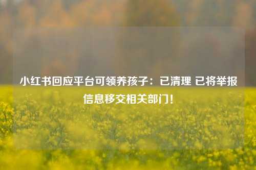 小红书回应平台可领养孩子：已清理 已将举报信息移交相关部门！