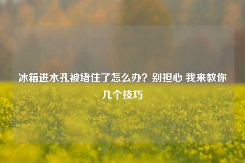 冰箱进水孔被堵住了怎么办？别担心 我来教你几个技巧