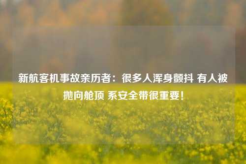 新航客机事故亲历者：很多人浑身颤抖 有人被抛向舱顶 系安全带很重要！