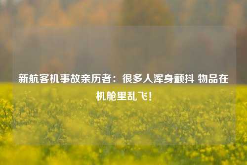 新航客机事故亲历者：很多人浑身颤抖 物品在机舱里乱飞！