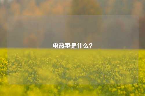 电热垫是什么？