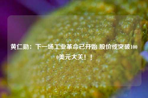 黄仁勋：下一场工业革命已开始 股价或突破1000美元大关！！