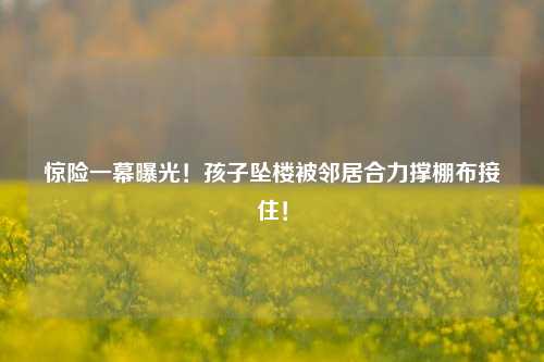 惊险一幕曝光！孩子坠楼被邻居合力撑棚布接住！